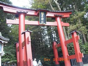 弥彦神社の大鳥居