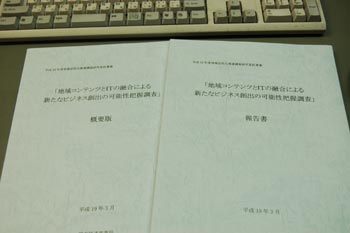 地域コンテンツとＩＴの融合による新たなビジネス創出の可能性把握調査