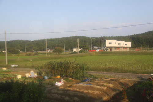 20101007-2.jpg