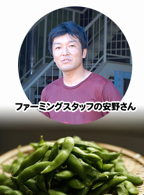 nisiyamaedamame1.jpg