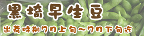 黒埼早生豆