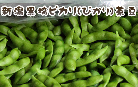 新潟黒埼(黒崎) ピカリ(ぴかり)茶豆 1.5kg