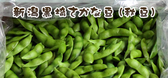新潟黒埼(黒崎) さかな豆(秋豆) 1.5kg