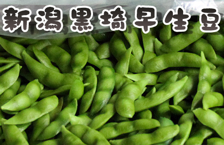 新潟黒埼(黒崎)早生豆 1.5kg
