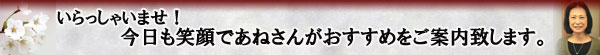 �����i�l�C���i
