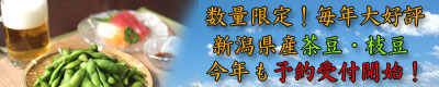 ���㸩����Ʀ ��Ʀ������