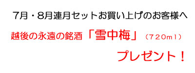 Ϣ��åȤ��㤤�夲�Τ����ͤء������ߡף���������ץ쥼���