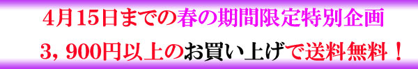 �S���P�T���܂�3,900�~�ȏエ�����グ�ő��������I