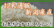 お米通販・新潟産直