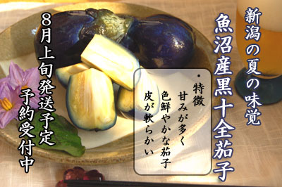 魚沼産黒十全なす　予約受付中！