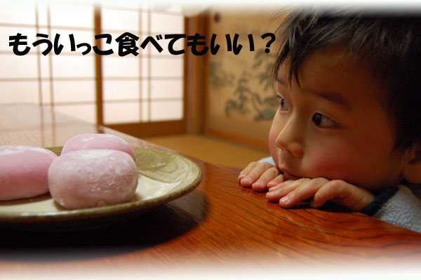 �q���̂���ɂ������߂̓��啟�Ƃ�����啟
