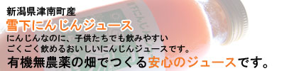 �㲼�ˤ󤸤󥸥塼�� 