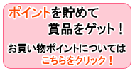 ポイントについて