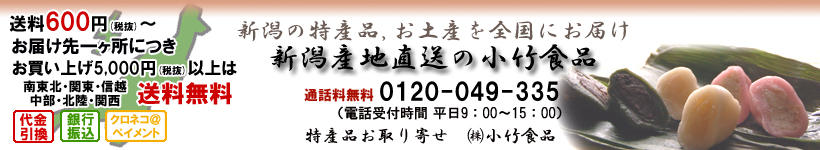 �V���̓��Y�i ���y�Y��S���ɂ��͂�