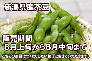 �V�����Y�}��