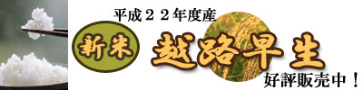新米新潟県産越路早生好評販売中！
