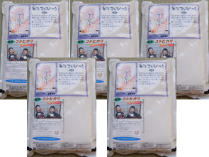 �V��������s��c�Y�R�V�q�J���@�����ĂQ�����T��