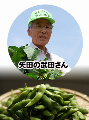 特別栽培枝豆　湯あがり娘　生産者矢田営農組合の武田さんの枝豆