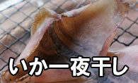 いか一夜干し