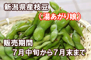 �V�����Y�}���@�������薺
