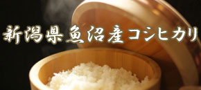 新潟県魚沼産コシヒカリ