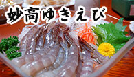 妙高ゆきえび