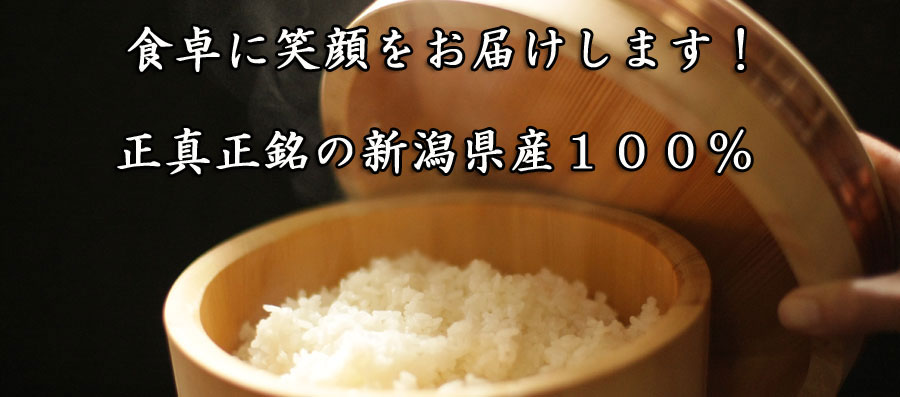 こしいぶき コシヒカリ お米通販 新潟産直 定期購入送料無料